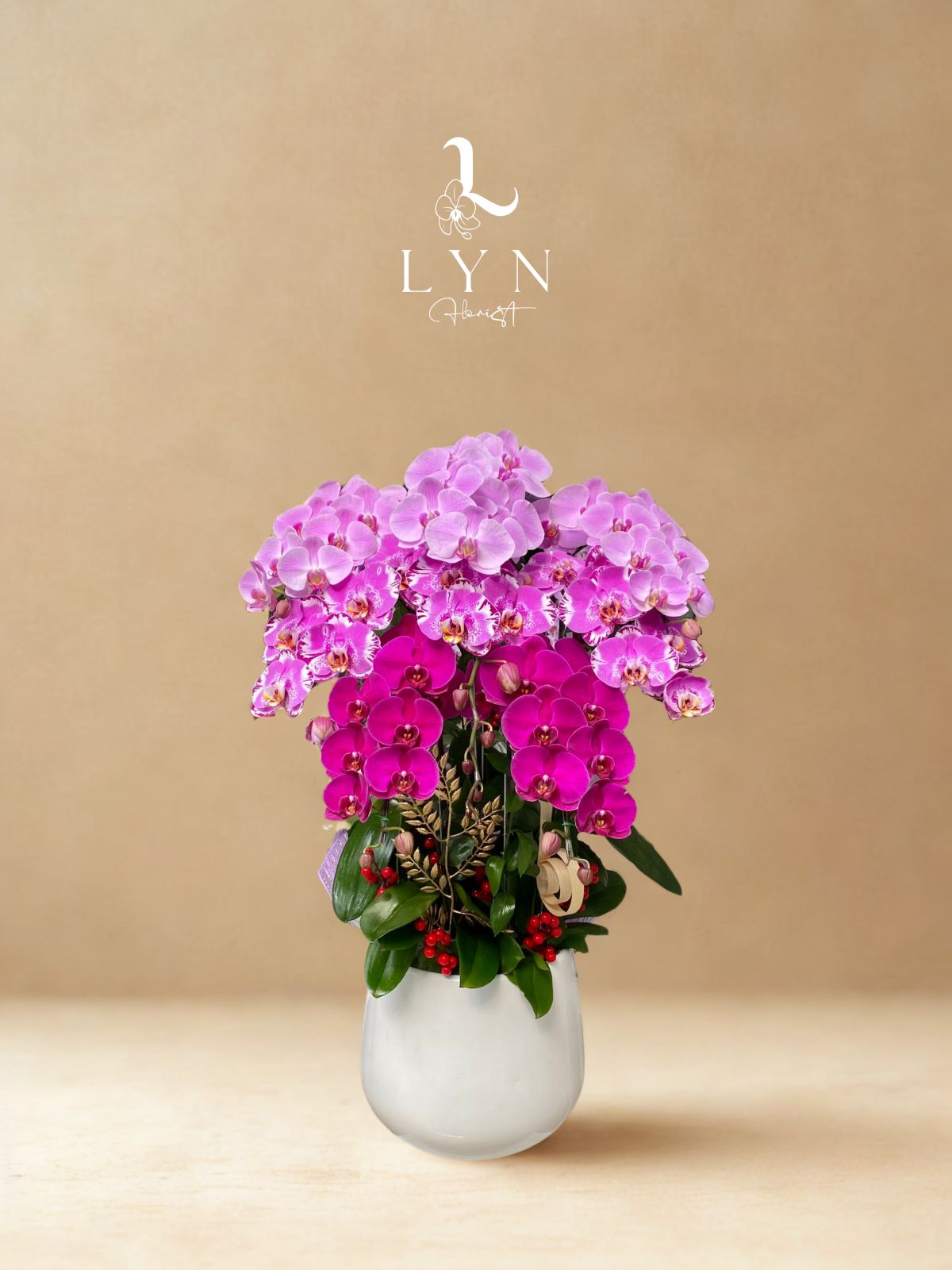 Chậu Hoa Lan Hồng Mix 3 màu_8 cành